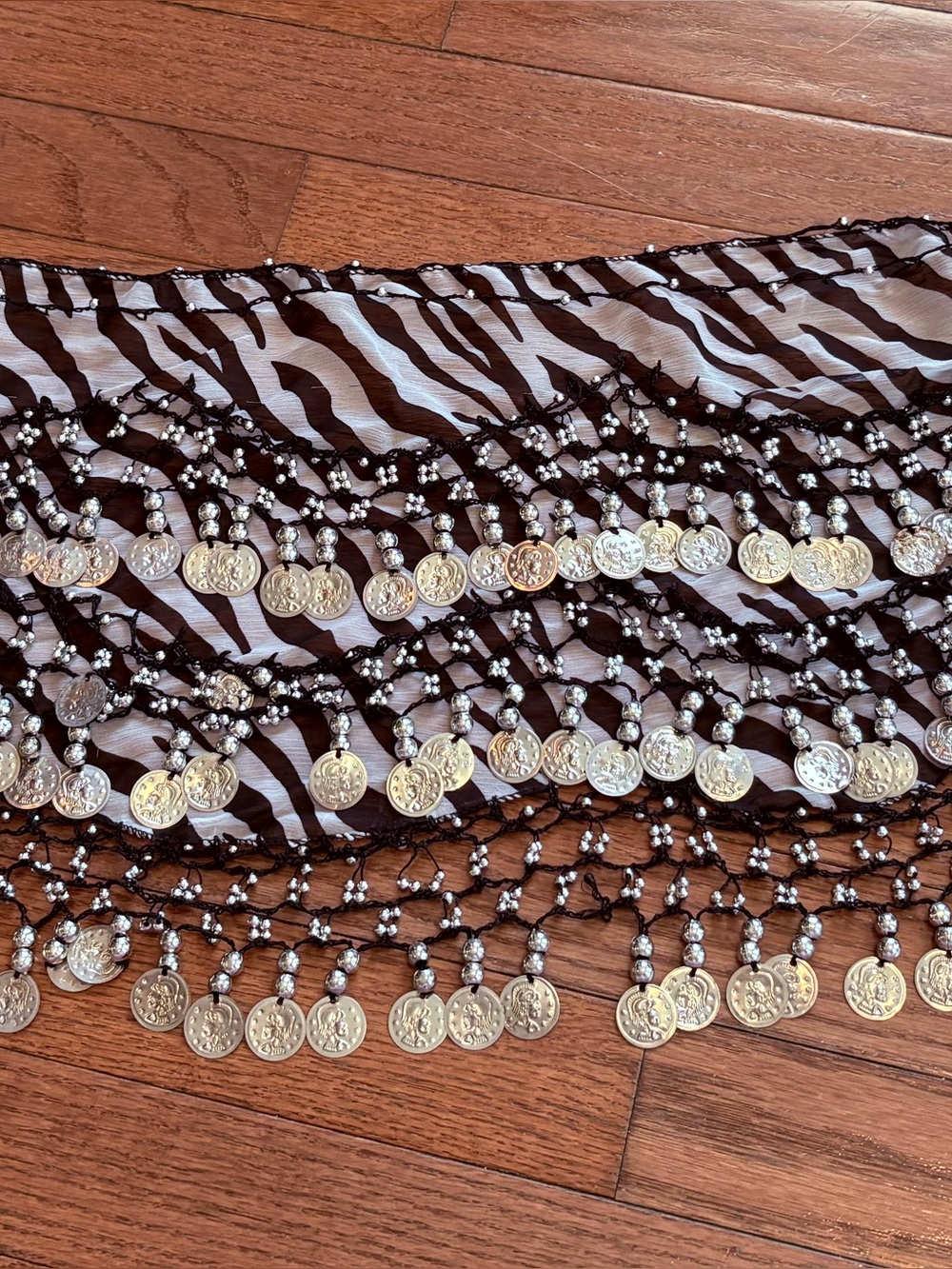 Silver Coin Fringe Belly Dance Belt - Black Mesh